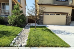 Front Dry Creek & Sod