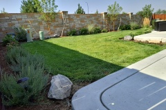 Planting & Sod