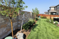 Planting