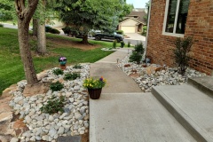 Front Planting & New Step