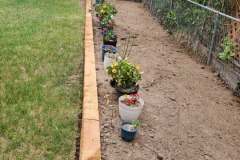 Timber Edging