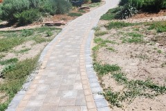 Path