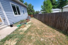 Before Back Walkway