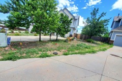 Before Pavers & Rock