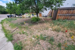 Before Pavers & Rock