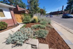 Mulch