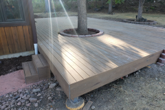Deck & Tree