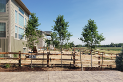 Privacy trees