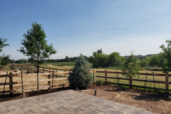 Privacy Trees