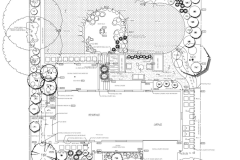 landscape-design-armstrong-denver-colorado