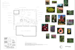 landscape-design-hall-denver-colorado
