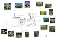 landscape-design-rachel-denver-colorado