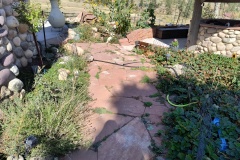 Before Concrete Path