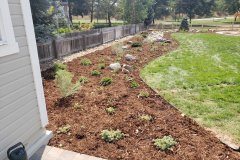 Planting