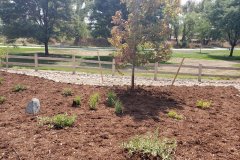 Planting