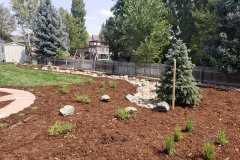 Dry Creek & Planting