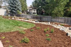 Dry Creek & Planting